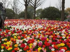 -大宁灵石公园西门票处