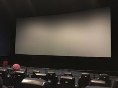 -AMG海上明珠影城(上海环球港RealDCinema店)