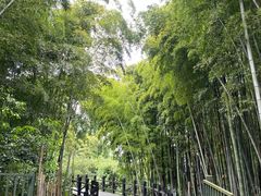 -树山生态村