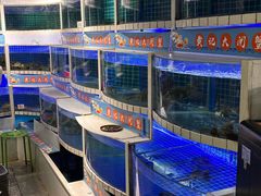 -黄记大闸蟹专卖店·活蟹·醉蟹