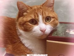-盒马鲜生(金桥国际广场店)