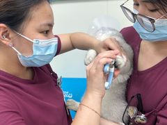 -美联众合动物医院·24h京西诊疗中心