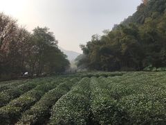 -杭州西湖风景名胜区-三生石