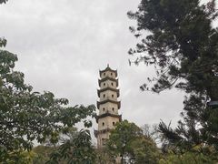 -江心屿景区