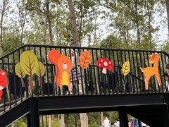 -合肥滨湖国家森林公园