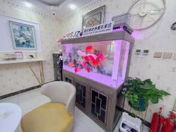 -安院长·产后恢复·徒手骨盆(先天下店)