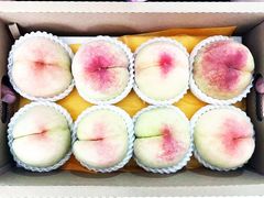 -老袁家蜜桃农场·阳山水蜜桃