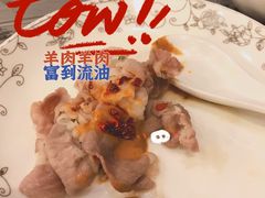 -鑫龙火锅城(青岛分店)