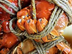 -呼吸森林·生态农庄农家乐私房菜