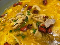 -顺风山庄(水濂山店)