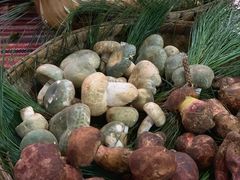 -昆虫窝子·特色云南菜(拓东路总店)