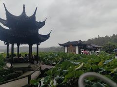 -印象西湖·最忆是杭州实景演出