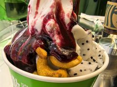 -Salud撒露欧洲冻酸奶(蓝色港湾店)