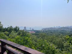 -青岛海滨风景区