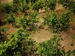 -中国杭州低碳科技馆