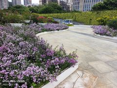 -深圳国际园林花卉博览园