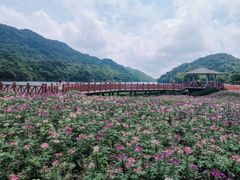 -广州市石门国家森林公园