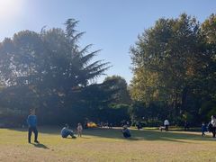 -上海动物园(地铁站)