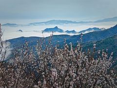 -妙峰山风景名胜区