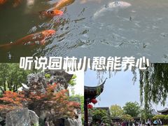 -檀园