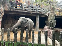 -长鹿旅游休博园