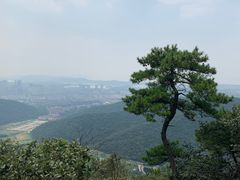 -惠山国家森林公园