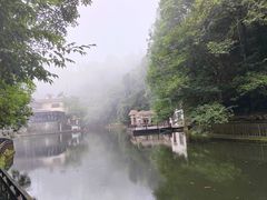 -云南屏边大围山国家公园