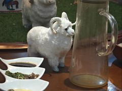 -老阿妈蒙古村·蒙古包·草原文化·歌舞表演(老君堂店)