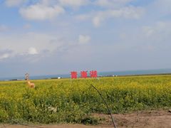 -青海湖国家重点风景名胜区