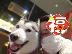 -Husky Go! 哈士奇体验馆·宠物咖啡厅狗咖