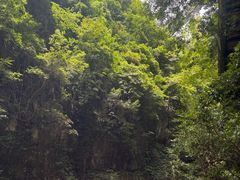 -南江大峡谷
