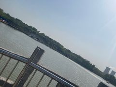 -塘沽森林公园