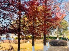 -昆承湖酒家·本帮农家菜