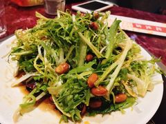 凉拌苦菊-馋嘴蛙火锅