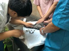 -安安宠医·安宠宠物医院