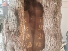 -72 COFFEE(东朝阳路店)