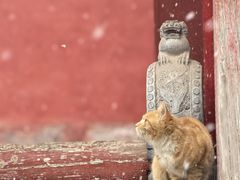-玉泉观