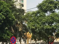 -金莲花广场