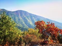 -北京十三陵国家森林公园蟒山景区