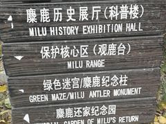 -北京麋鹿生态实验中心