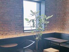 -M Stand(青岛银鱼巷店)