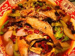 -酒肉行·虎子盐筋烤肉(大寨路店)