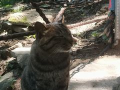 -终南山南五台景区