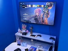 -浣熊部落ps4 ps5 switch 电玩(茶店子店)