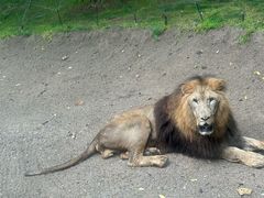 -北京野生动物园