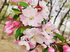 -大兴滨河森林公园