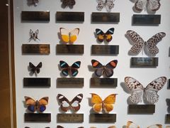 -上海昆虫博物馆