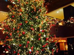 iphone_upload_pic-王府半岛酒店