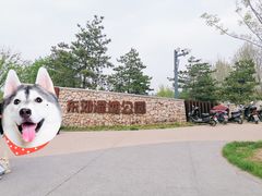 -东郊湿地公园