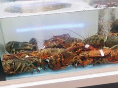 -同庆楼(滨湖万达广场店)